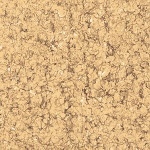 Gạch Viglacera TS2-606