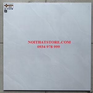 Gạch Ý Mỹ 60x60 C618