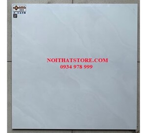 Gạch Ý Mỹ 60x60 C618