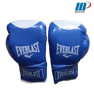 Găng đấm boxing Everlast L1