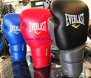 Găng tay boxing Everlast Protex 2