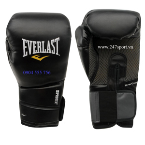 Găng tay boxing Everlast Protex 2