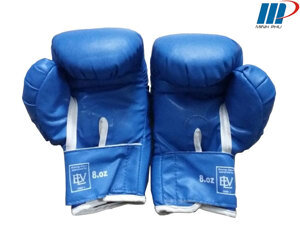 Găng tay tập boxing Everlast L2