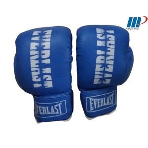 Găng tay tập boxing Everlast L2