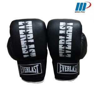 Găng tay tập boxing Everlast L2