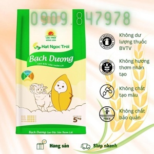 Gạo Hạt Ngọc Trời Bạch Dương túi 5kg