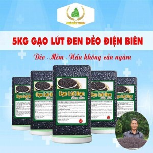 Gạo nếp nương điện Biên 5kg/túi