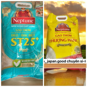 Gạo thơm thượng hạng Neptune túi 5kg
