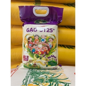 Gạo thơm Vua Gạo ST25 túi 5kg