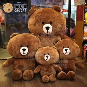 Gấu bông Brown và thỏ bông Cony