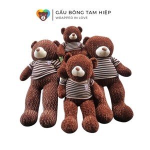 Gấu teddy bông khổ vải 1m6