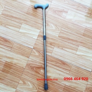 Gậy 1 chân inox VN