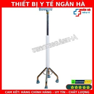 Gậy tập đi 4 chân Lucass B932