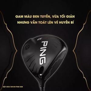 Gậy Wood Ping G25