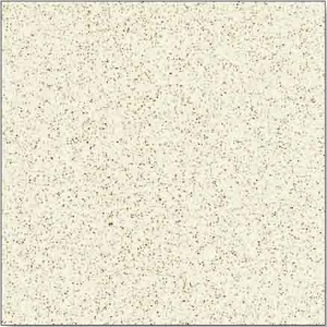 Ggạch granite Thanh Thanh 60x60 SB6038