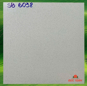 Ggạch granite Thanh Thanh 60x60 SB6038