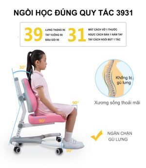 Ghế chống gù DRY-807