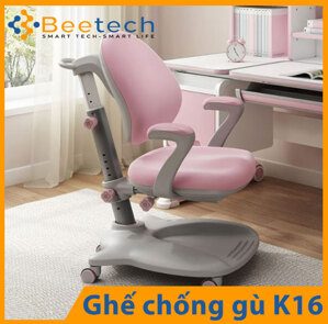 Ghế chống gù K16