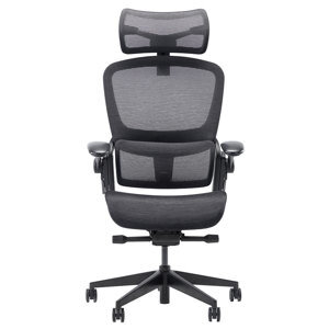 Ghế công thái học Epione Easy Chair 2.0