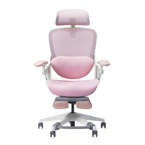 Ghế công thái học Epione Easy Chair Blossom