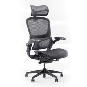 Ghế công thái học Epione Easy Chair 2.0