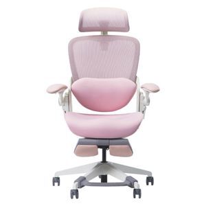 Ghế công thái học Epione Easy Chair Blossom