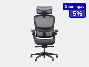 Ghế công thái học Epione Easy Chair 2.0