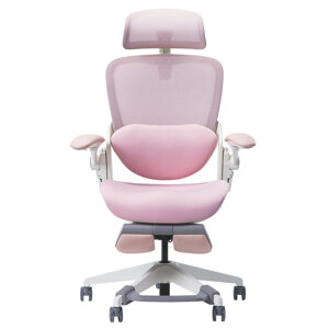 Ghế công thái học Epione Easy Chair Blossom