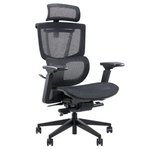 Ghế công thái học Epione ErgoChair Pro