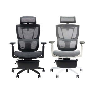 Ghế công thái học Epione ErgoChair Pro