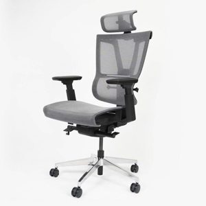 Ghế công thái học Epione ErgoChair Pro