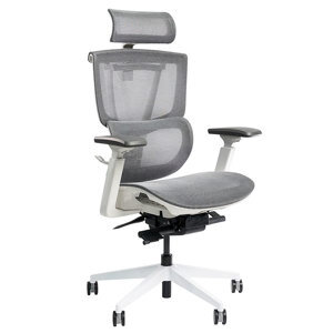 Ghế công thái học Epione ErgoChair Pro