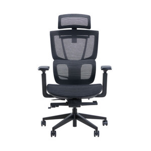 Ghế công thái học Epione ErgoChair Pro