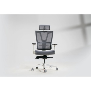 Ghế công thái học Epione ErgoChair Pro