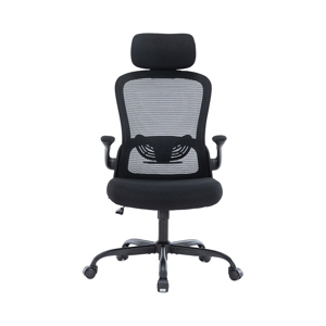 Ghế công thái học ergonomic Warrio WEC105