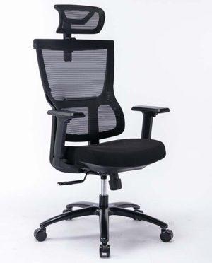 Ghế công thái học ergonomic Warrio WEC506v2