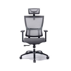 Ghế công thái học ergonomic Warrio WEC506v2