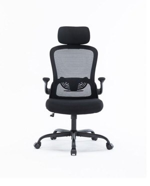 Ghế công thái học ergonomic Warrio WEC105