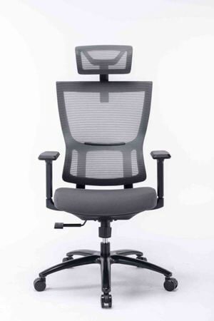 Ghế công thái học ergonomic Warrio WEC506v2