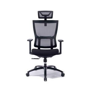 Ghế công thái học ergonomic Warrio WEC506v2