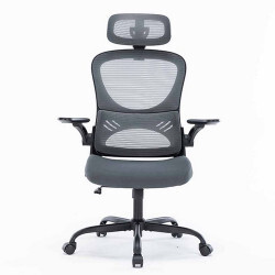 Ghế công thái học ergonomic Warrio WEC501