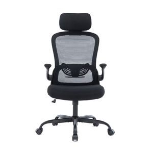 Ghế công thái học ergonomic Warrio WEC105