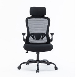 Ghế công thái học ergonomic Warrio WEC105