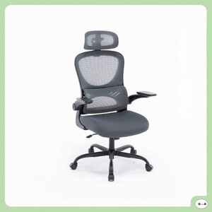 Ghế công thái học ergonomic Warrio WEC501