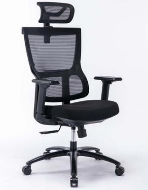 Ghế công thái học ergonomic Warrio WEC506v2