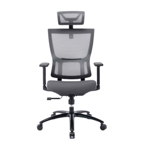 Ghế công thái học ergonomic Warrio WEC506v2