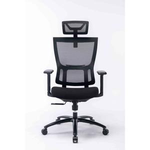 Ghế công thái học ergonomic Warrio WEC506v2