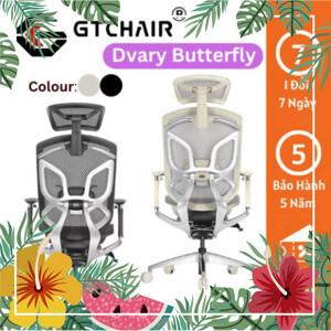 Ghế công thái học GTChair Dvary Butterfly