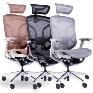 Ghế công thái học GTChair Dvary Butterfly