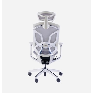 Ghế công thái học GTChair Dvary Butterfly